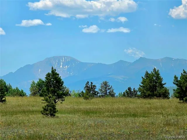 584 Sourdough Road Woodland Park, CO 80863