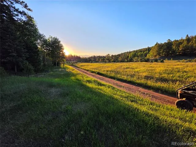 584 Sourdough Road Woodland Park, CO 80863