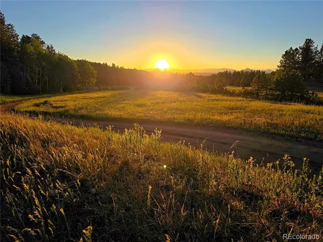 584 Sourdough Road Woodland Park, CO 80863