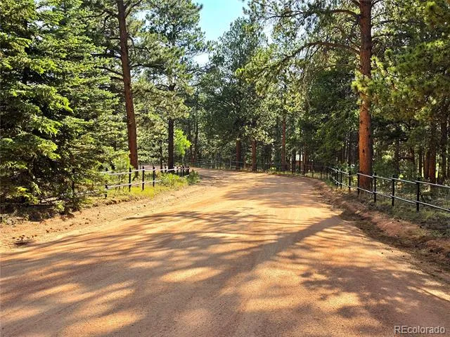 584 Sourdough Road Woodland Park, CO 80863