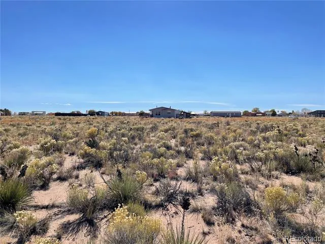 213 Caliente Court Crestone, CO 81131