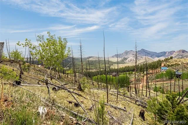 L1 B4 Columbine Circle Woodland Park, CO 80863