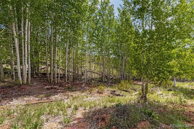 L1 B4 Columbine Circle Woodland Park, CO 80863