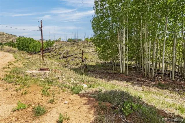 L1 B4 Columbine Circle Woodland Park, CO 80863