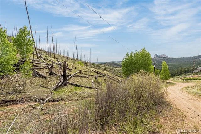 L1 B4 Columbine Circle Woodland Park, CO 80863