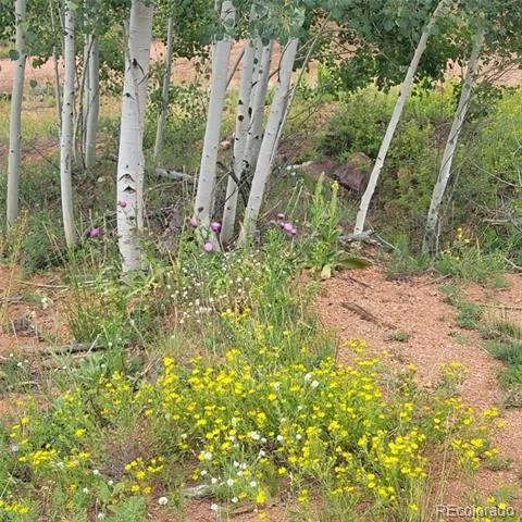 L1 B4 Columbine Circle Woodland Park, CO 80863