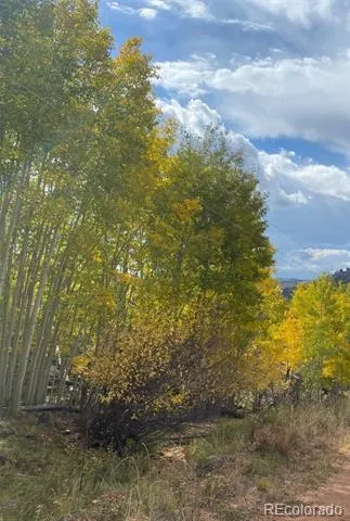 L1 B4 Columbine Circle Woodland Park, CO 80863