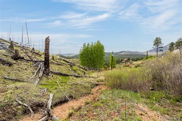 L1 B4 Columbine Circle Woodland Park, CO 80863