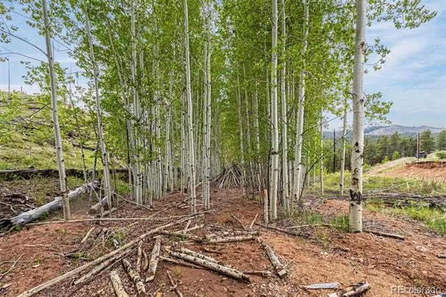 L1 B4 Columbine Circle Woodland Park, CO 80863