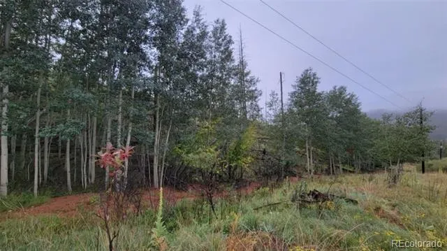 L1 B4 Columbine Circle Woodland Park, CO 80863
