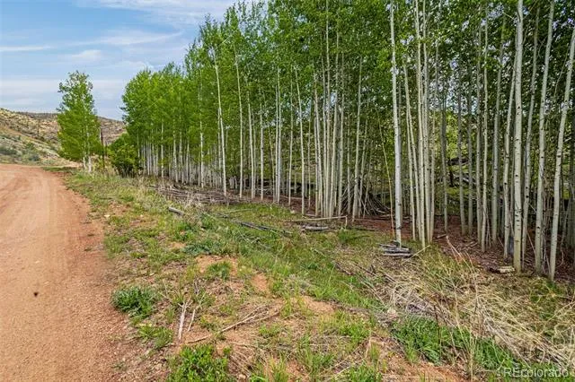 L1 B4 Columbine Circle Woodland Park, CO 80863