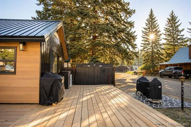 112 E 1st Street Creede, CO 81130
