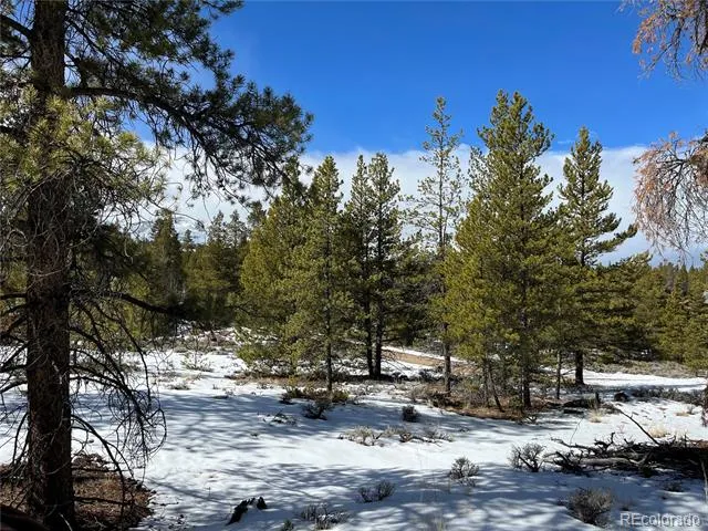 28 Juniper Drive Twin Lakes, CO 81251