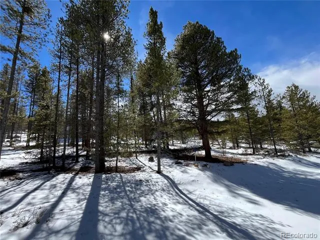 28 Juniper Drive Twin Lakes, CO 81251
