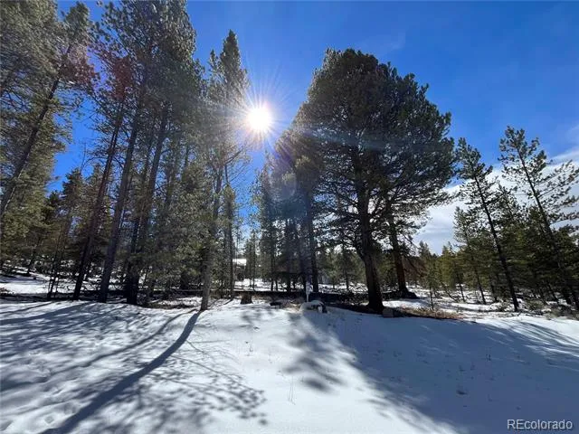 28 Juniper Drive Twin Lakes, CO 81251