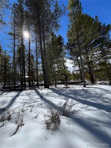 28 Juniper Drive Twin Lakes, CO 81251
