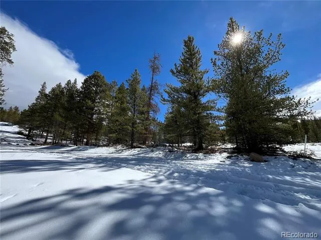 28 Juniper Drive Twin Lakes, CO 81251