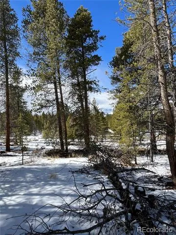 28 Juniper Drive Twin Lakes, CO 81251