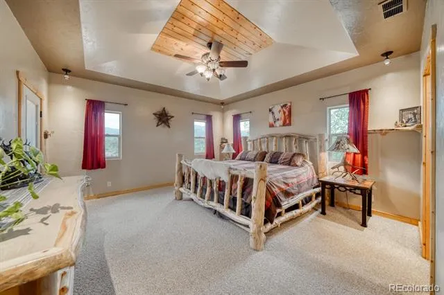 31055 Kodiak Court Buena Vista, CO 81211