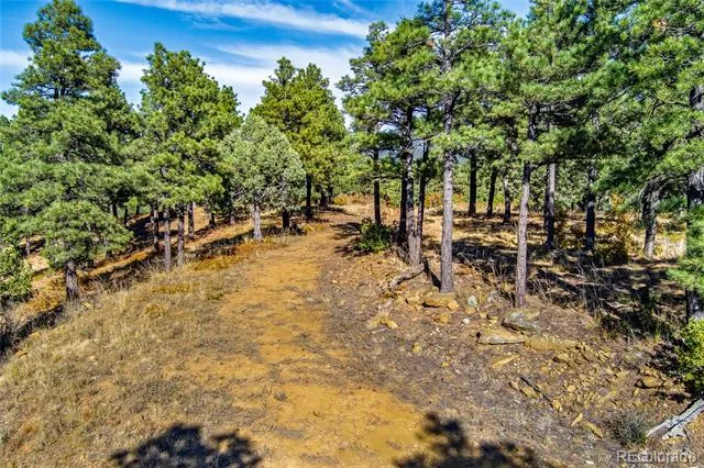 33250 Fox Trail Trinidad, CO 81082