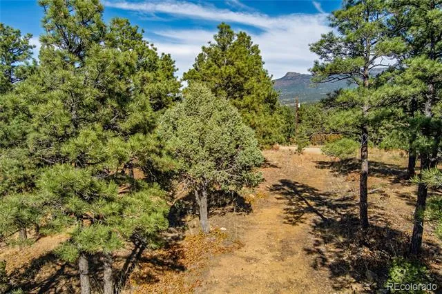 33250 Fox Trail Trinidad, CO 81082