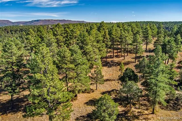 33250 Fox Trail Trinidad, CO 81082