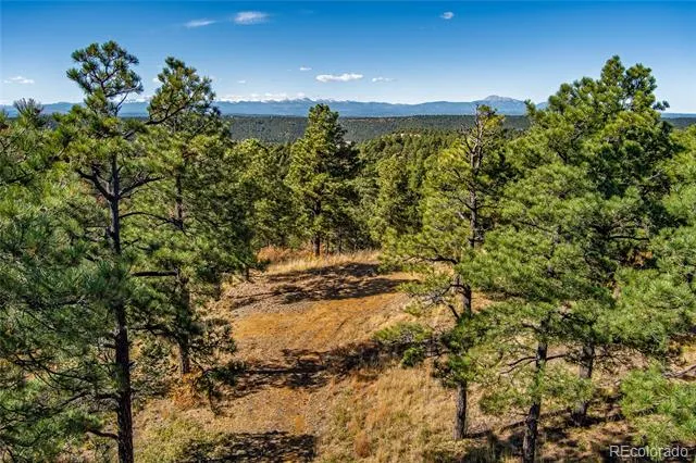 33250 Fox Trail Trinidad, CO 81082