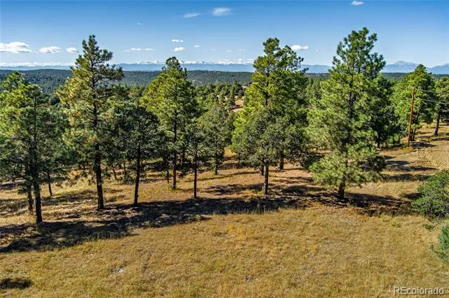 33250 Fox Trail Trinidad, CO 81082
