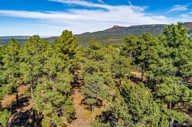 33250 Fox Trail Trinidad, CO 81082