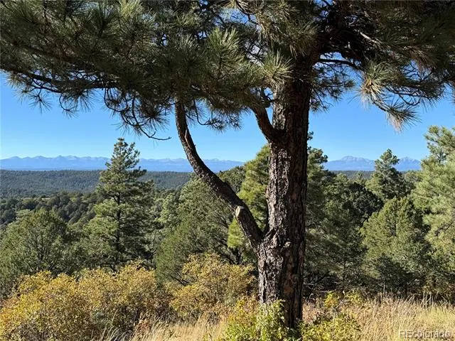 33250 Fox Trail Trinidad, CO 81082