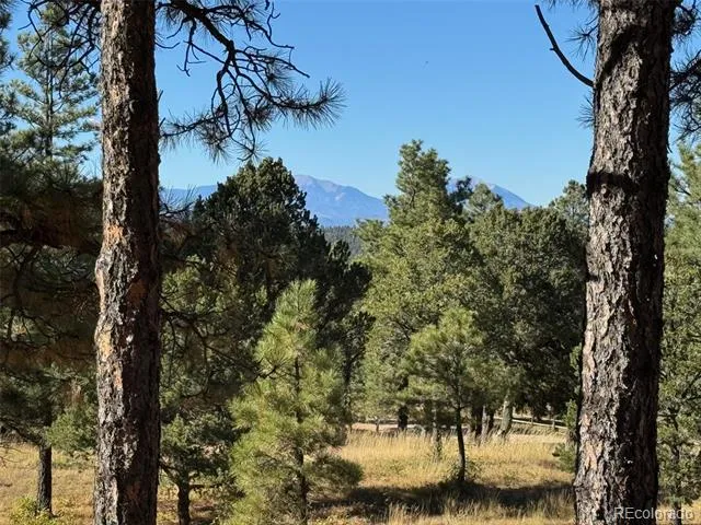 33250 Fox Trail Trinidad, CO 81082