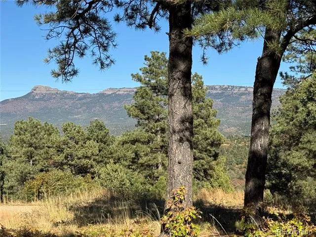 33250 Fox Trail Trinidad, CO 81082