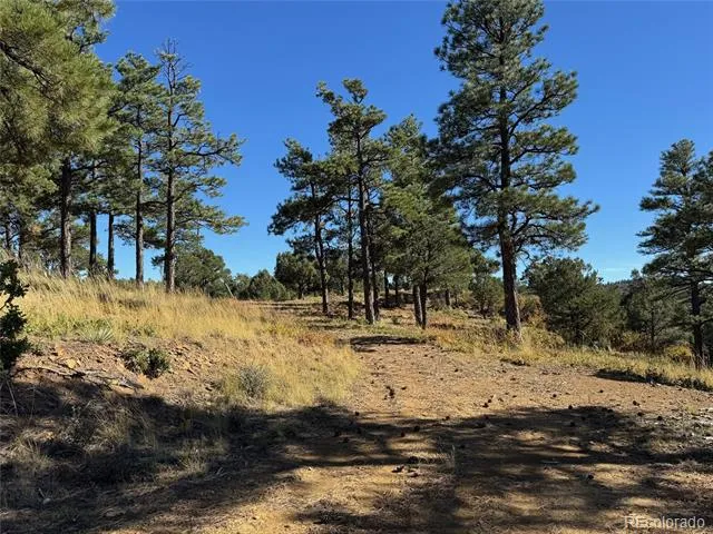 33250 Fox Trail Trinidad, CO 81082