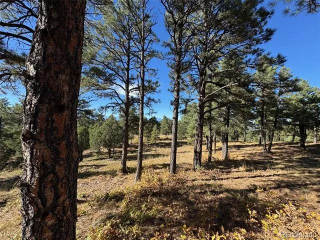 33250 Fox Trail Trinidad, CO 81082