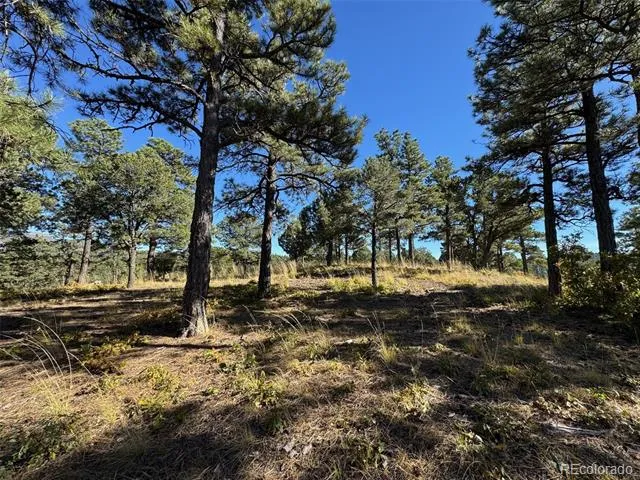 33250 Fox Trail Trinidad, CO 81082