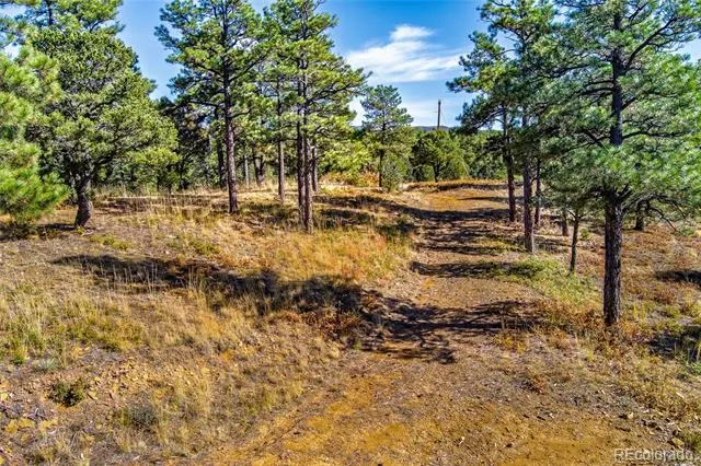 33250 Fox Trail Trinidad, CO 81082
