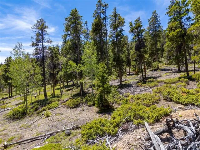 719 Miners Candle Road Idaho Springs, CO 80452