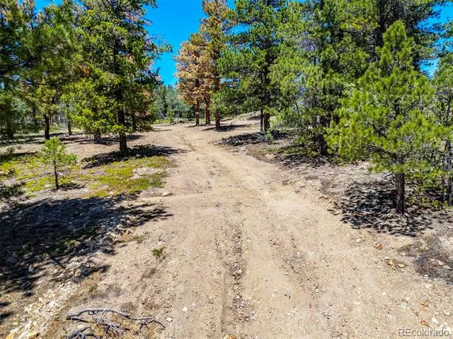 719 Miners Candle Road Idaho Springs, CO 80452