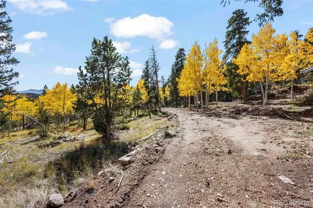 719 Miners Candle Road Idaho Springs, CO 80452