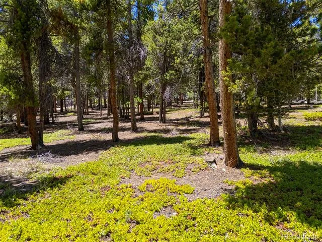 719 Miners Candle Road Idaho Springs, CO 80452