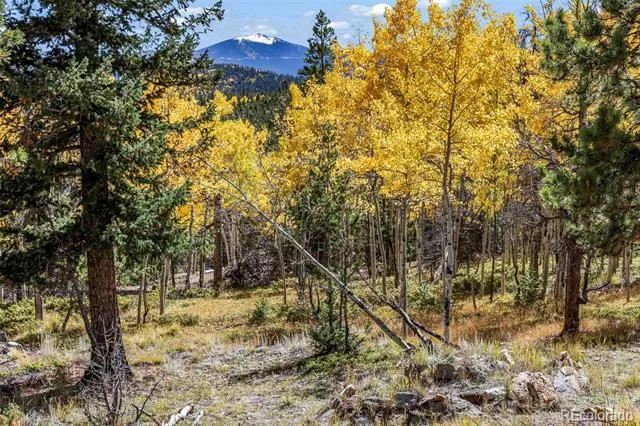 719 Miners Candle Road Idaho Springs, CO 80452