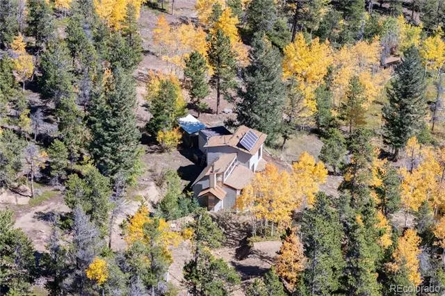 719 Miners Candle Road Idaho Springs, CO 80452