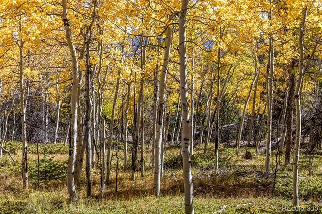 719 Miners Candle Road Idaho Springs, CO 80452