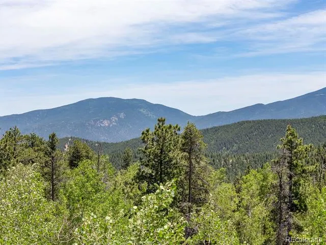 719 Miners Candle Road Idaho Springs, CO 80452