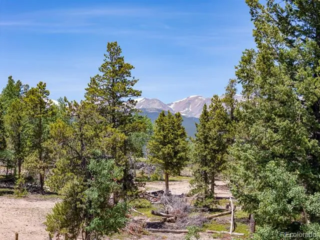 719 Miners Candle Road Idaho Springs, CO 80452