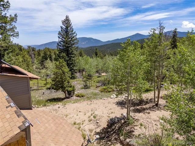 719 Miners Candle Road Idaho Springs, CO 80452