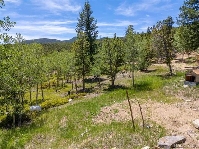 719 Miners Candle Road Idaho Springs, CO 80452