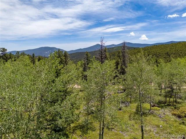 719 Miners Candle Road Idaho Springs, CO 80452