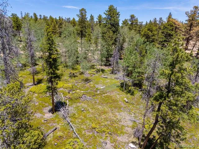 719 Miners Candle Road Idaho Springs, CO 80452