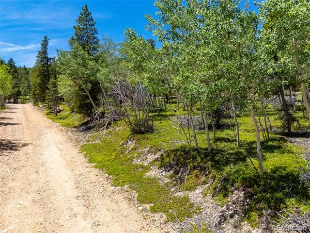 719 Miners Candle Road Idaho Springs, CO 80452